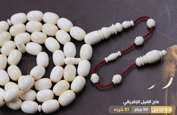 عاج الفيل الافريقي (طقم محزز)