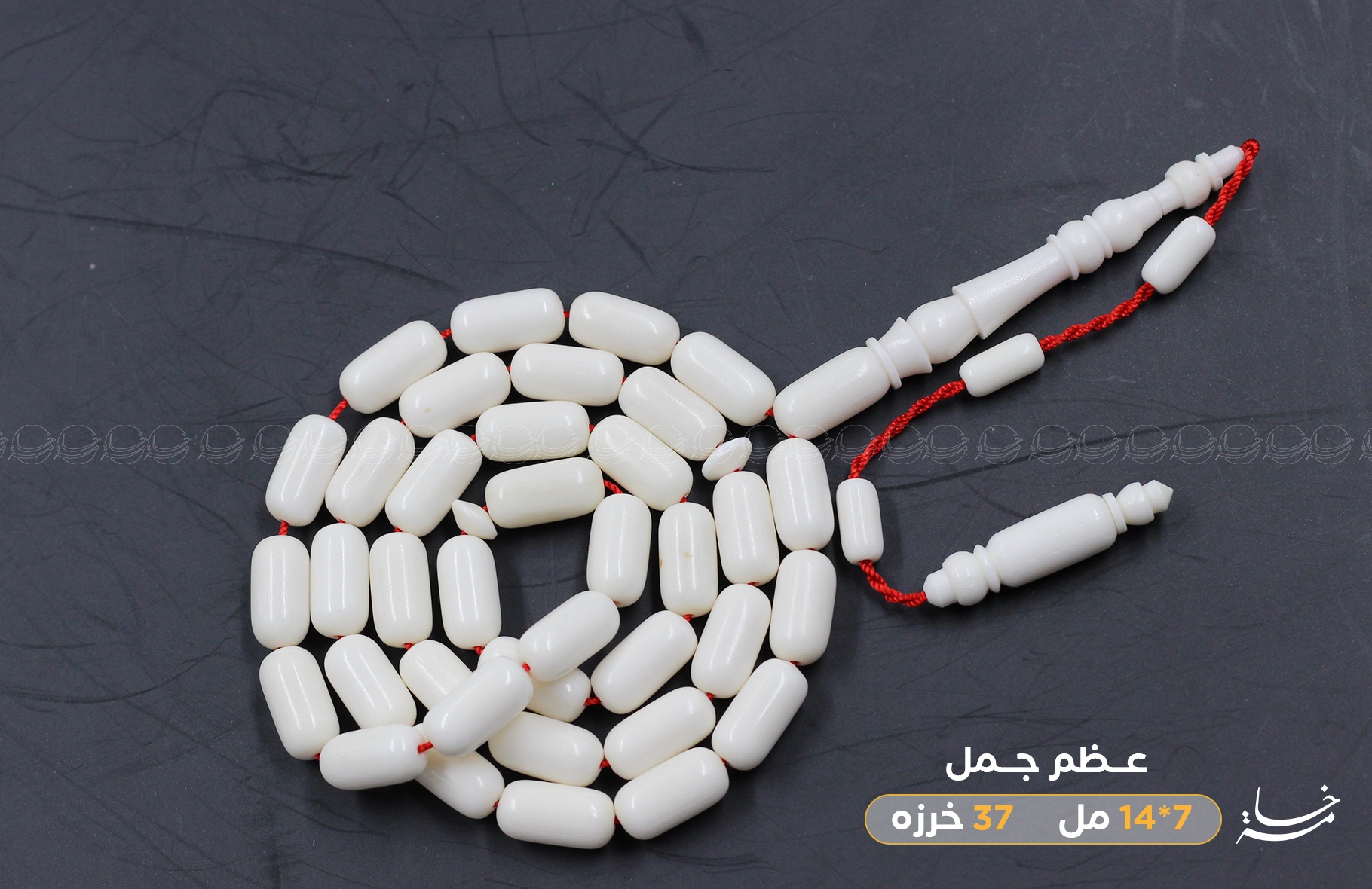 عظم جمل صنوبري ناعم
