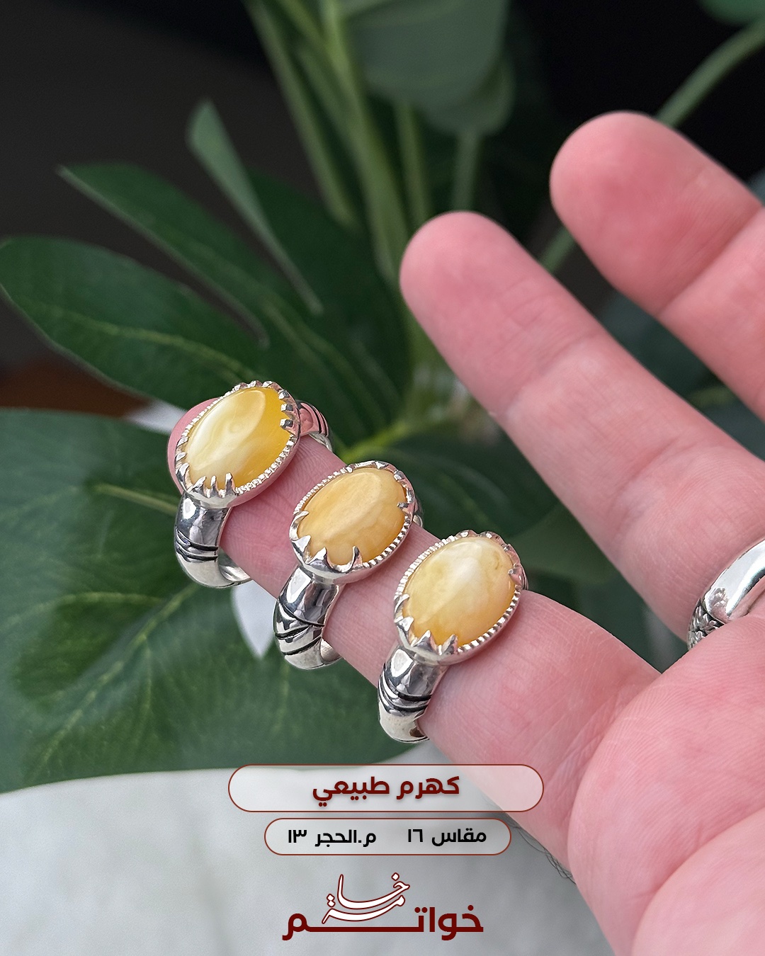 كهرم طبيعي صياغة ملكية