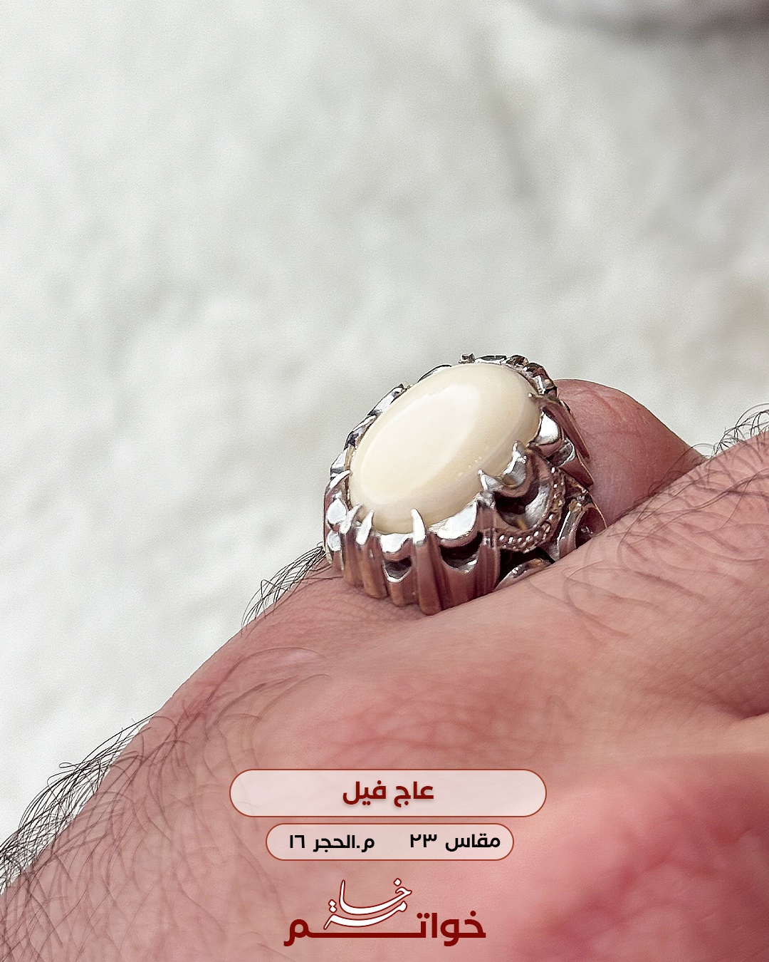 خاتم عاج فيل