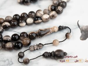 قرن جاموس طبيعي