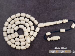 عظم جمل صندوقي ناعم