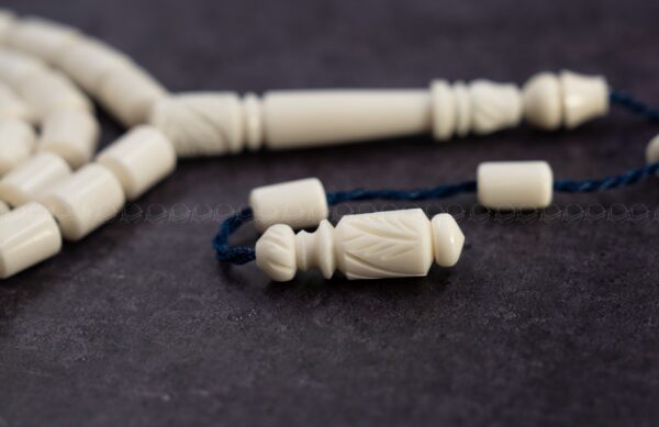 عظم جمل صندوقي ناعم