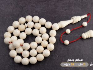 عظم جمل 🐫 شاهد محجل