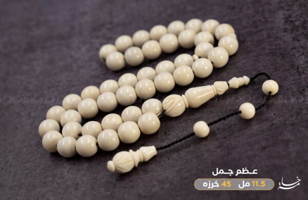 عظم جمل سوبر