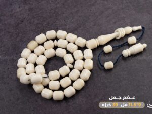 عظم جمل صندوقي