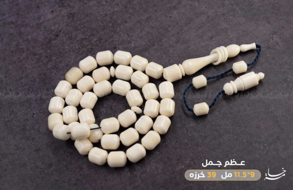 عظم جمل صندوقي