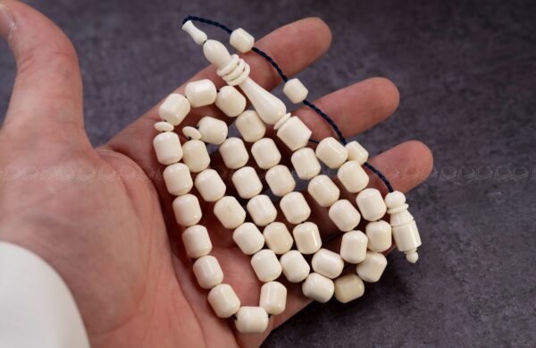 عظم جمل صندوقي