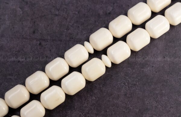 عظم جمل صندوقي