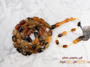 قرن جاموس معالج (شبيه الترسه)
