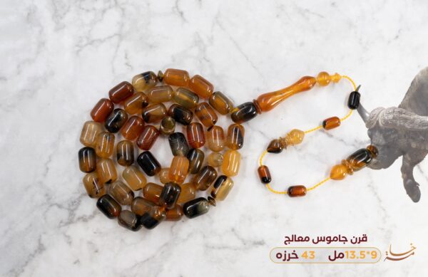 قرن جاموس معالج (شبيه الترسه)