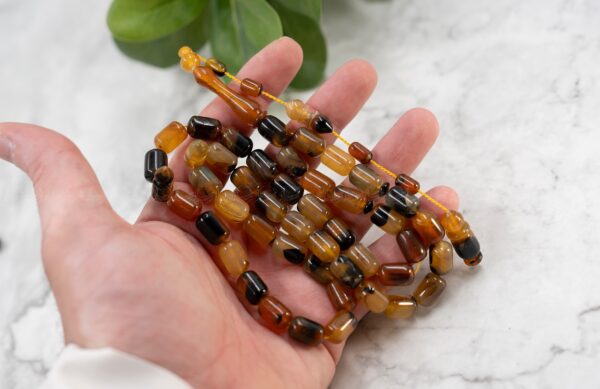 قرن جاموس معالج (شبيه الترسه)