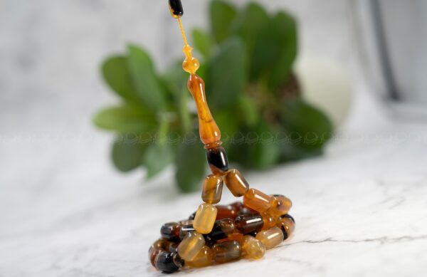 قرن جاموس معالج (شبيه الترسه)