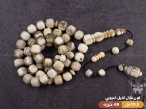 قرن غزال الايل (صندوقي)