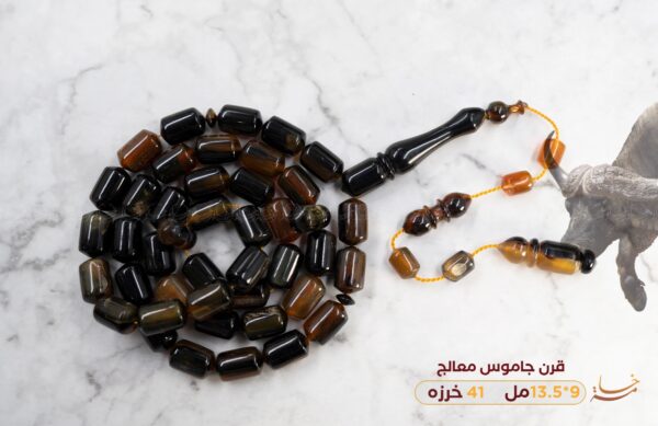 قرن جاموس معالج(برميلي)