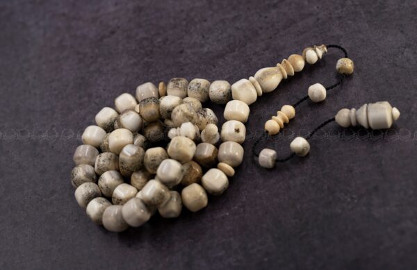 قرن غزال الايل (صندوقي)