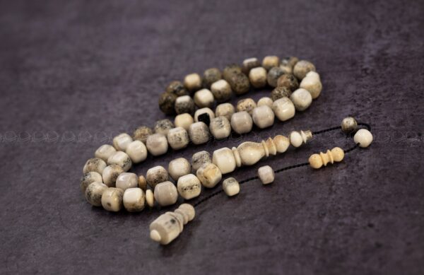 قرن غزال الايل (صندوقي)