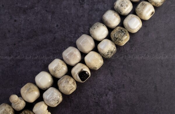 قرن غزال الايل (صندوقي)