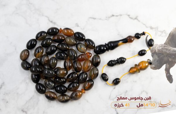 قرن جاموس معالج (بيضوي)