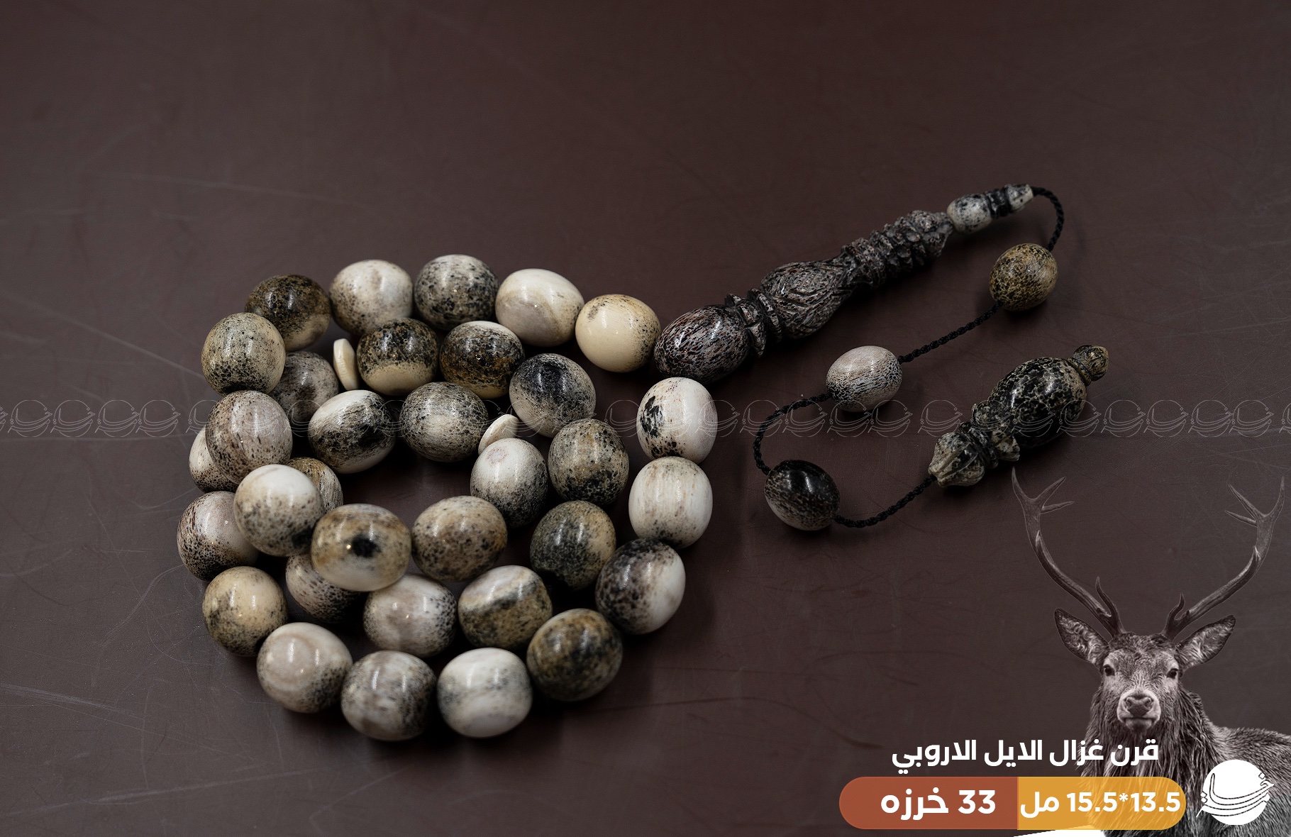 قطعة ملكية من قرن غزال الايل (الفولدير)