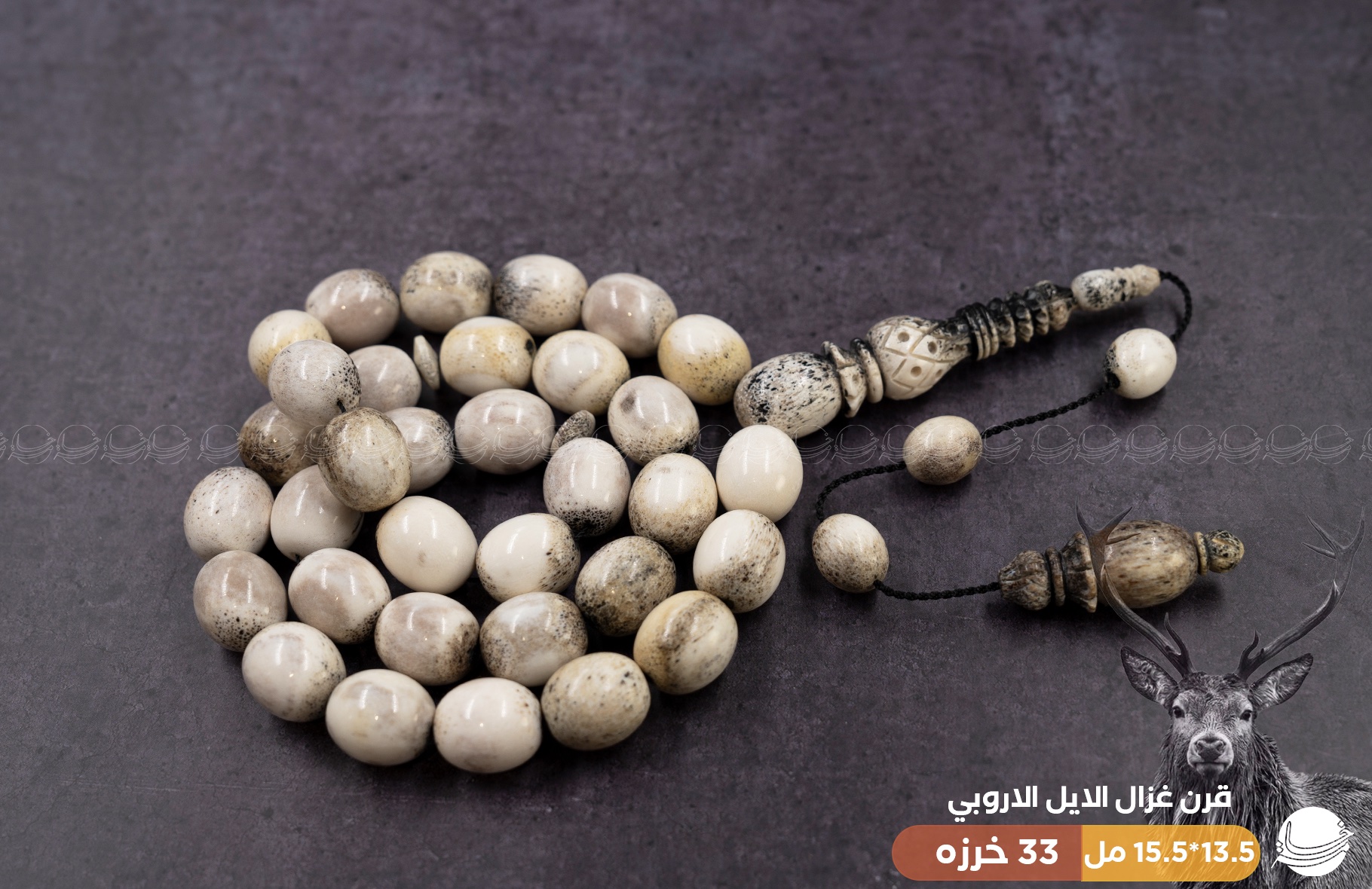 قطعة ملكية من قرن غزال الايل (الفولدير)