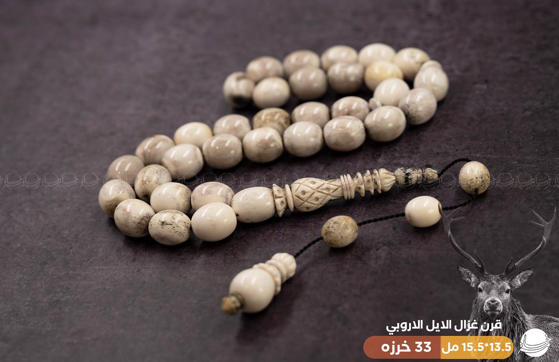 قطعة ملكية من قرن غزال الايل (الفولدير)