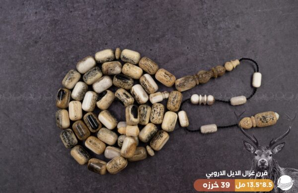 قرن غزال الايل لون مميز