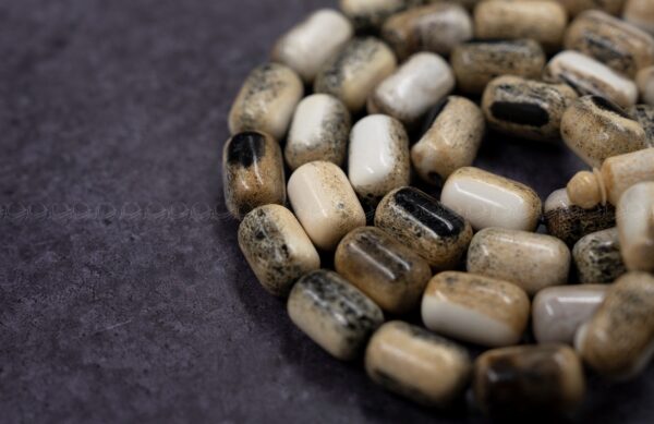 قرن غزال الايل لون مميز