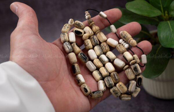 قرن غزال الايل لون مميز