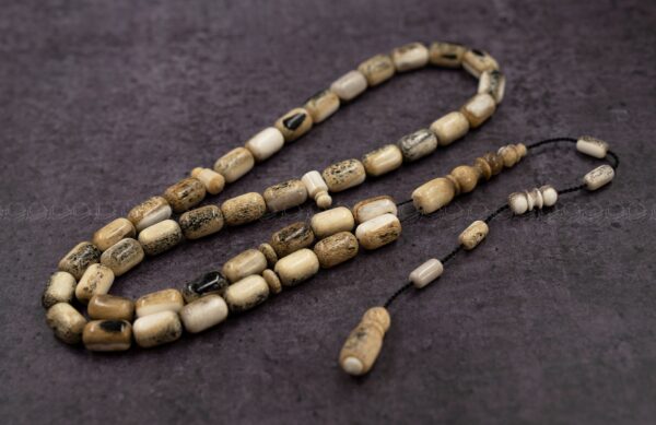 قرن غزال الايل لون مميز