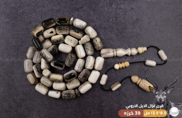 57-%d9%82%d8%b1%d9%86-%d8%a7%d9%84%d8%a7%d9%8a%d9%84-%d8%a7%d9%84%d8%a7%d8%b1%d9%88%d8%a8%d9%8a قرن غزال الايل (الفولريد)