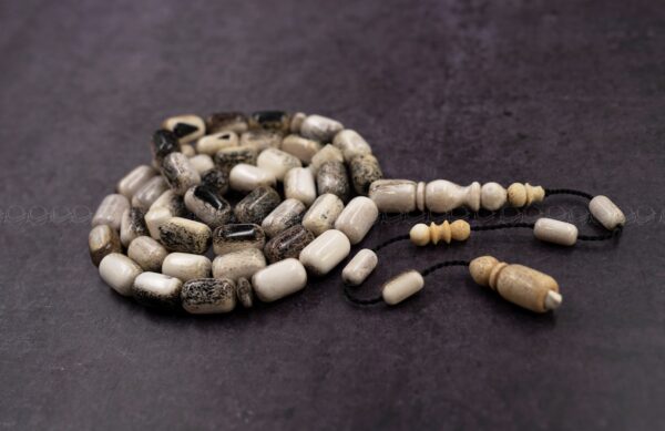 58-%d9%82%d8%b1%d9%86-%d8%a7%d9%84%d8%a7%d9%8a%d9%84-%d8%a7%d9%84%d8%a7%d8%b1%d9%88%d8%a8%d9%8a قرن غزال الايل (الفولريد)