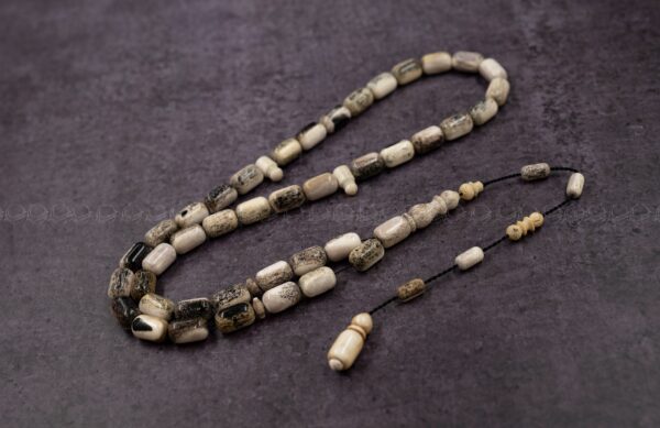 60-%d9%82%d8%b1%d9%86-%d8%a7%d9%84%d8%a7%d9%8a%d9%84-%d8%a7%d9%84%d8%a7%d8%b1%d9%88%d8%a8%d9%8a قرن غزال الايل (الفولريد)