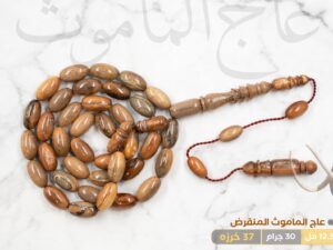 عاج الماموث المنقرض