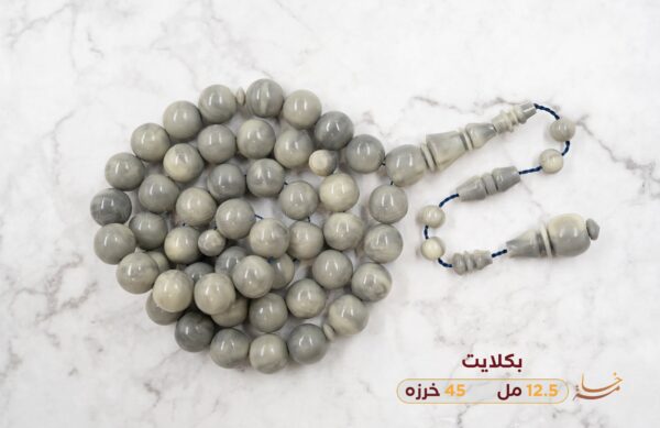 بكلايت دولفيني