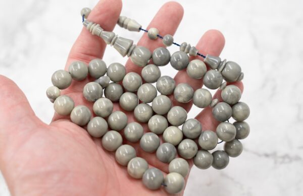 بكلايت دولفيني