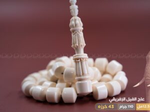 عاج فيل صندوقي حجم راهي