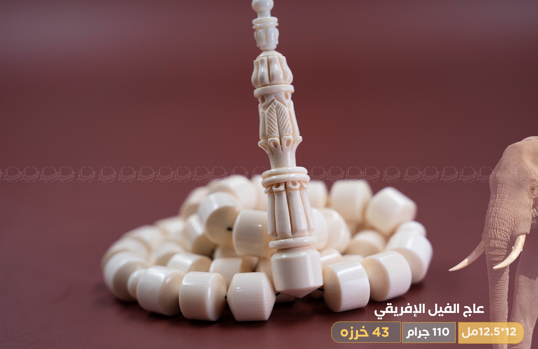 عاج فيل صندوقي حجم راهي