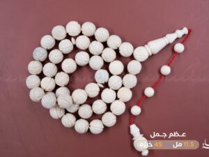 54-%d8%b9%d8%b8%d9%85-%d8%ac%d9%85%d9%84 عظم جمل منقوش بالكامل