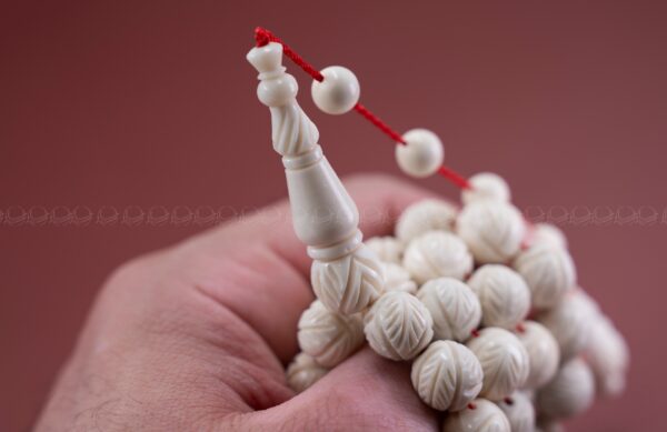 عظم جمل منقوش بالكامل