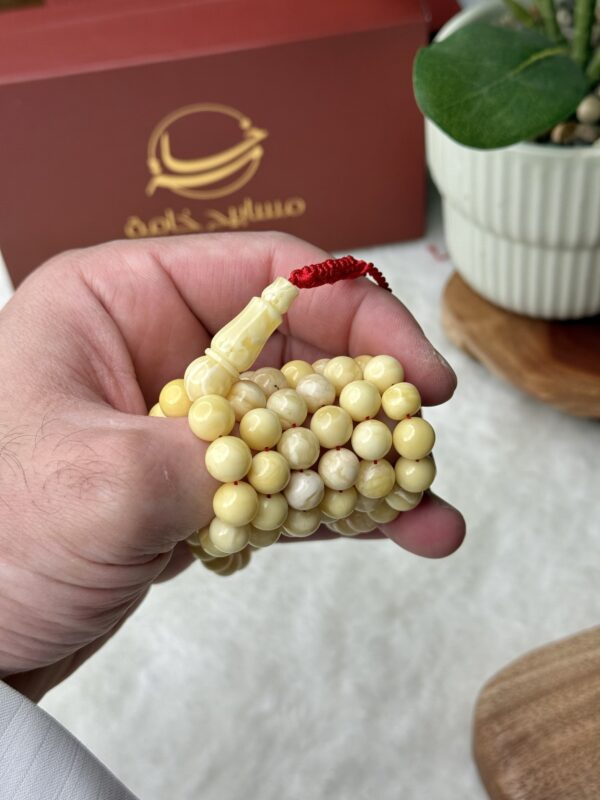 كهرم طبيعي مبرقع