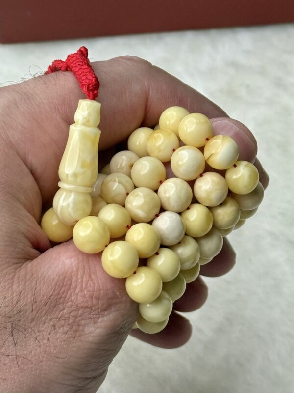 كهرم طبيعي مبرقع