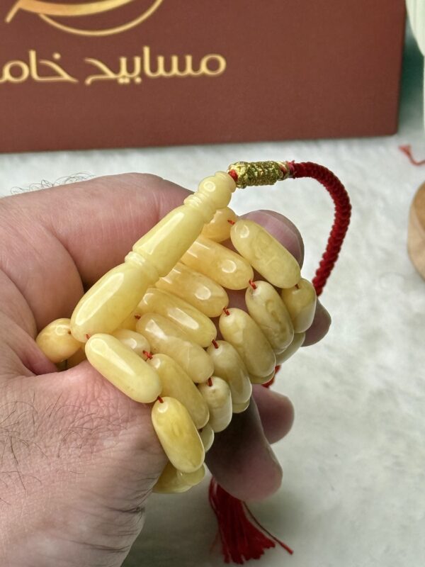 كهرم طبيعي صنوبري