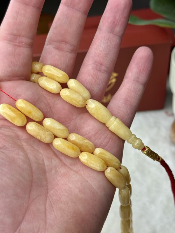 كهرم طبيعي صنوبري