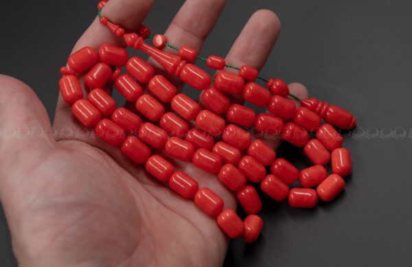 24-%d8%a7%d9%81%d9%8a%d8%a7%d8%b4-%d8%b5%d8%a8-%d9%82%d8%af%d9%8a%d9%85 افياش صب قديم خرطة حسن كايا