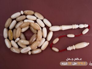 57-%d8%b9%d8%b8%d9%85-%d8%ac%d9%85%d9%84 عظم جمل صنوبري (سوبر) غير معالج