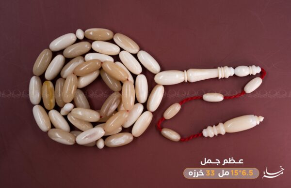 عظم جمل صنوبري (سوبر) غير معالج