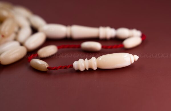 عظم جمل صنوبري (سوبر) غير معالج