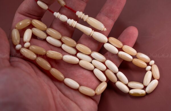 عظم جمل صنوبري (سوبر) غير معالج