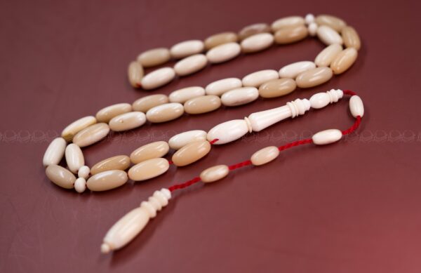 عظم جمل صنوبري (سوبر) غير معالج